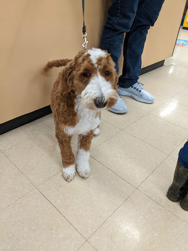 Pet Supply Store «Petco Animal Supplies», reviews and photos, 2823 County Home Rd, Goshen, IN 46526, USA