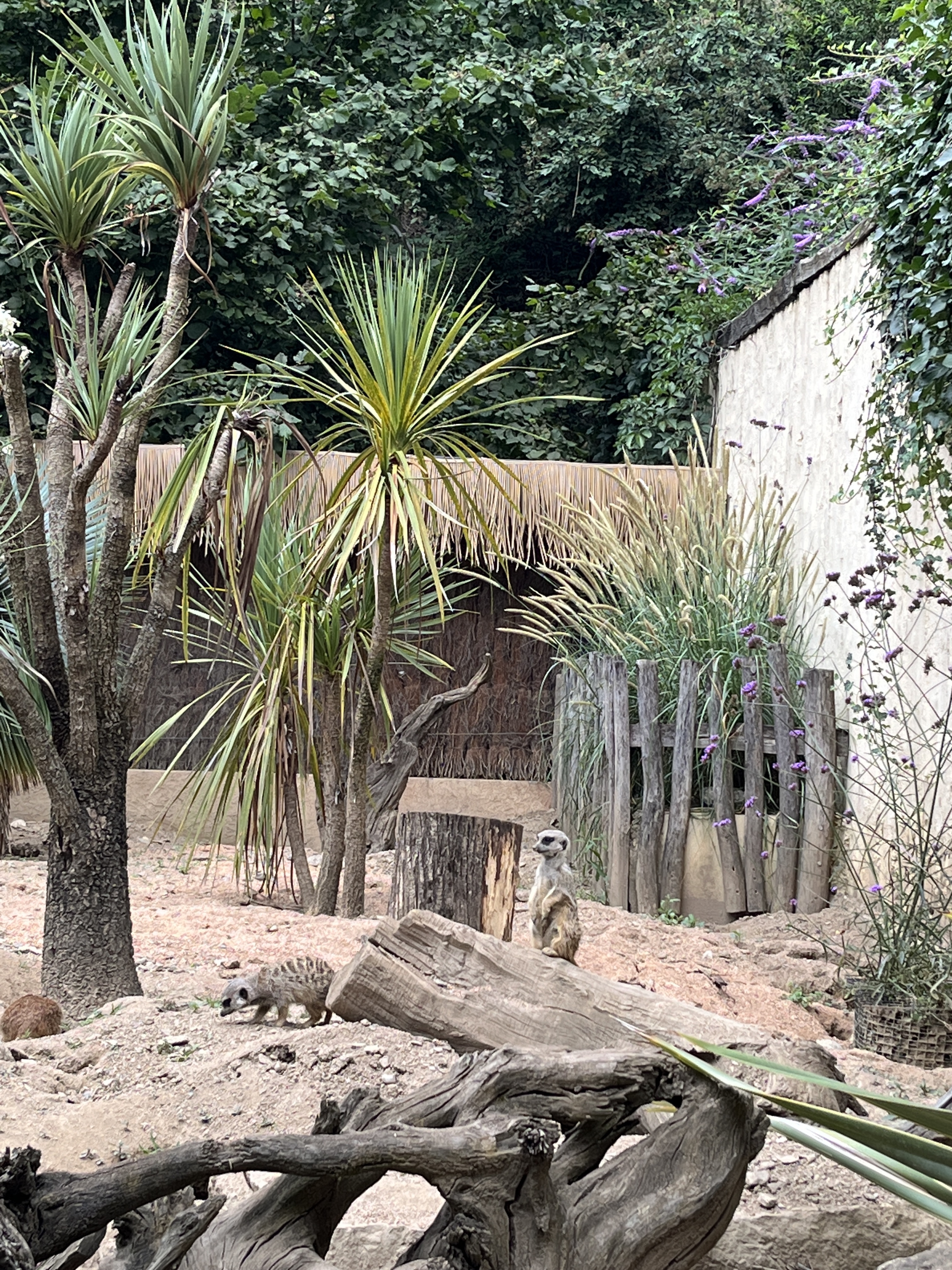 Photo n° 16 de l'avis de QIN.I fait le 16/07/2023 à 10:58