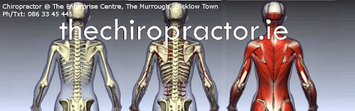 Wicklow Chiropractor Vincent Pippet