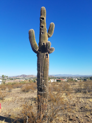 Park «Lookout Mountain Preserve», reviews and photos, 15800 N 16th St, Phoenix, AZ 85022, USA