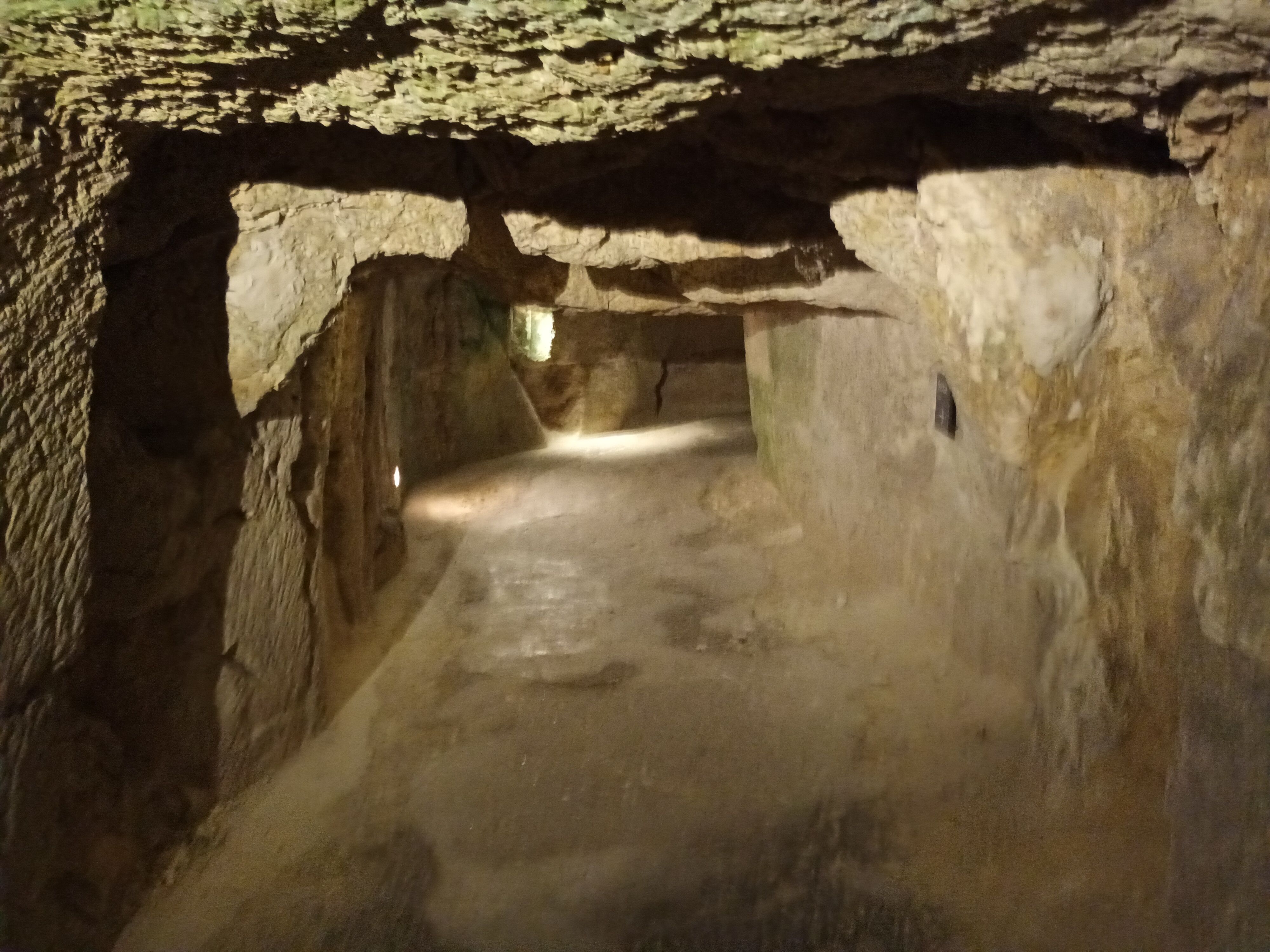 Photo n° 42 de l'avis de Bruno.u fait le 05/11/2023 à 20:45