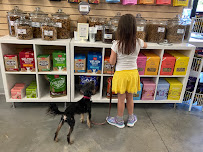 Lizzi and Rocco's Natural Pet Market - Photo 3 - Car repair in Columbia, MO, Columbia