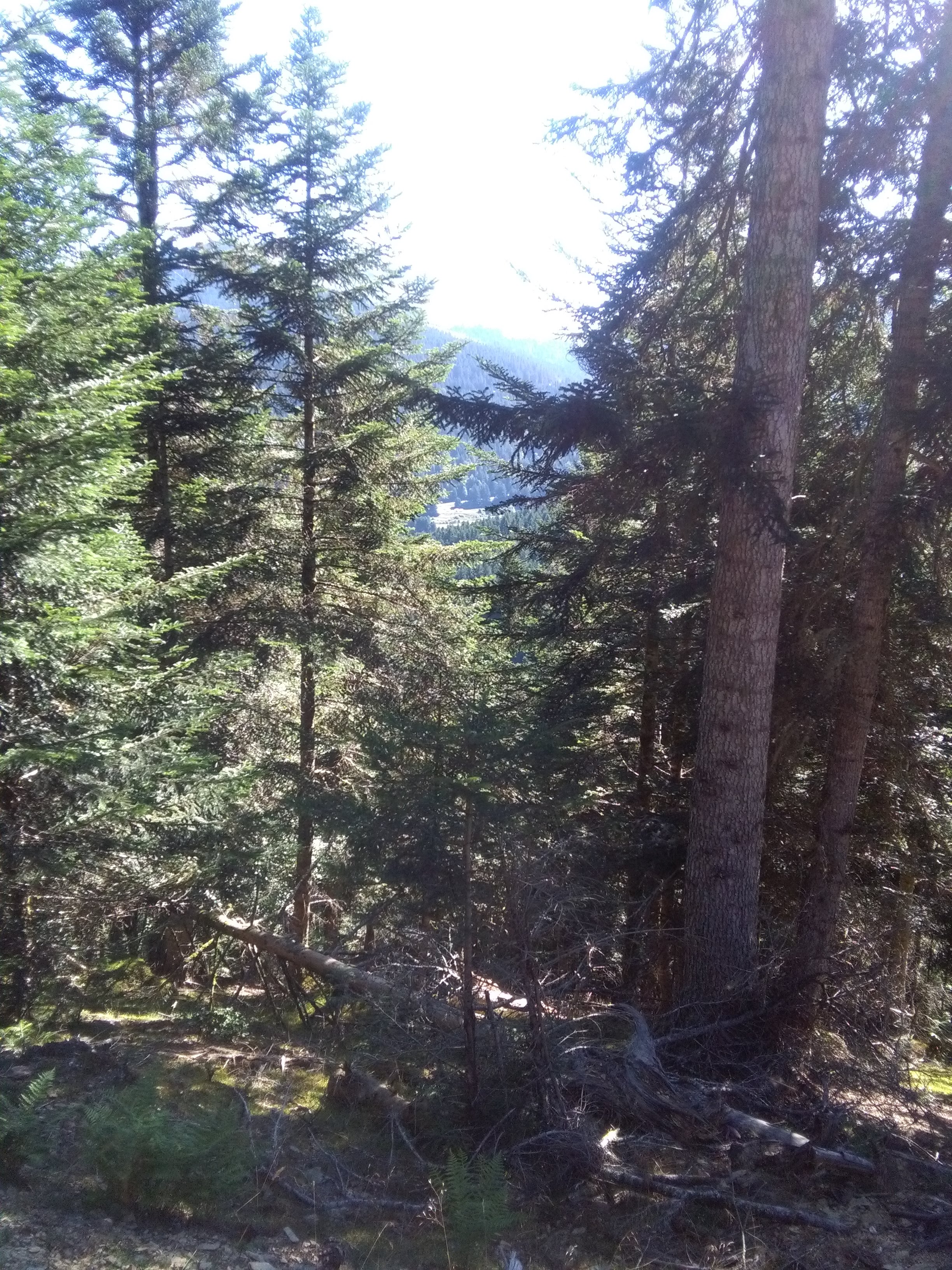 Photo n° 9 de l'avis de Fredozza. fait le 17/08/2021 à 07:56