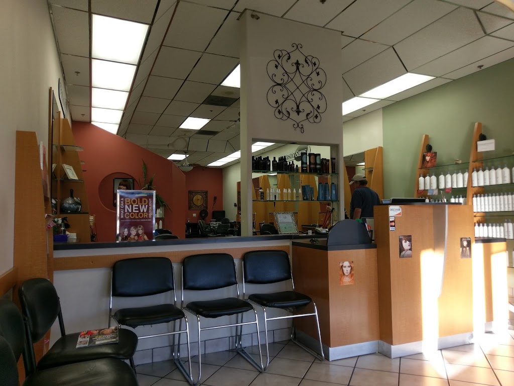 Fantastic Sams Cut & Color 91381