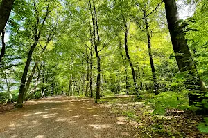 Waldpark Marienhöhe image