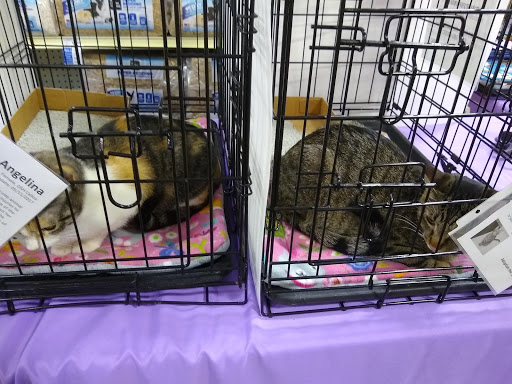 Pet Supply Store «PetSmart», reviews and photos, 3736 SW Archer Rd, Gainesville, FL 32608, USA