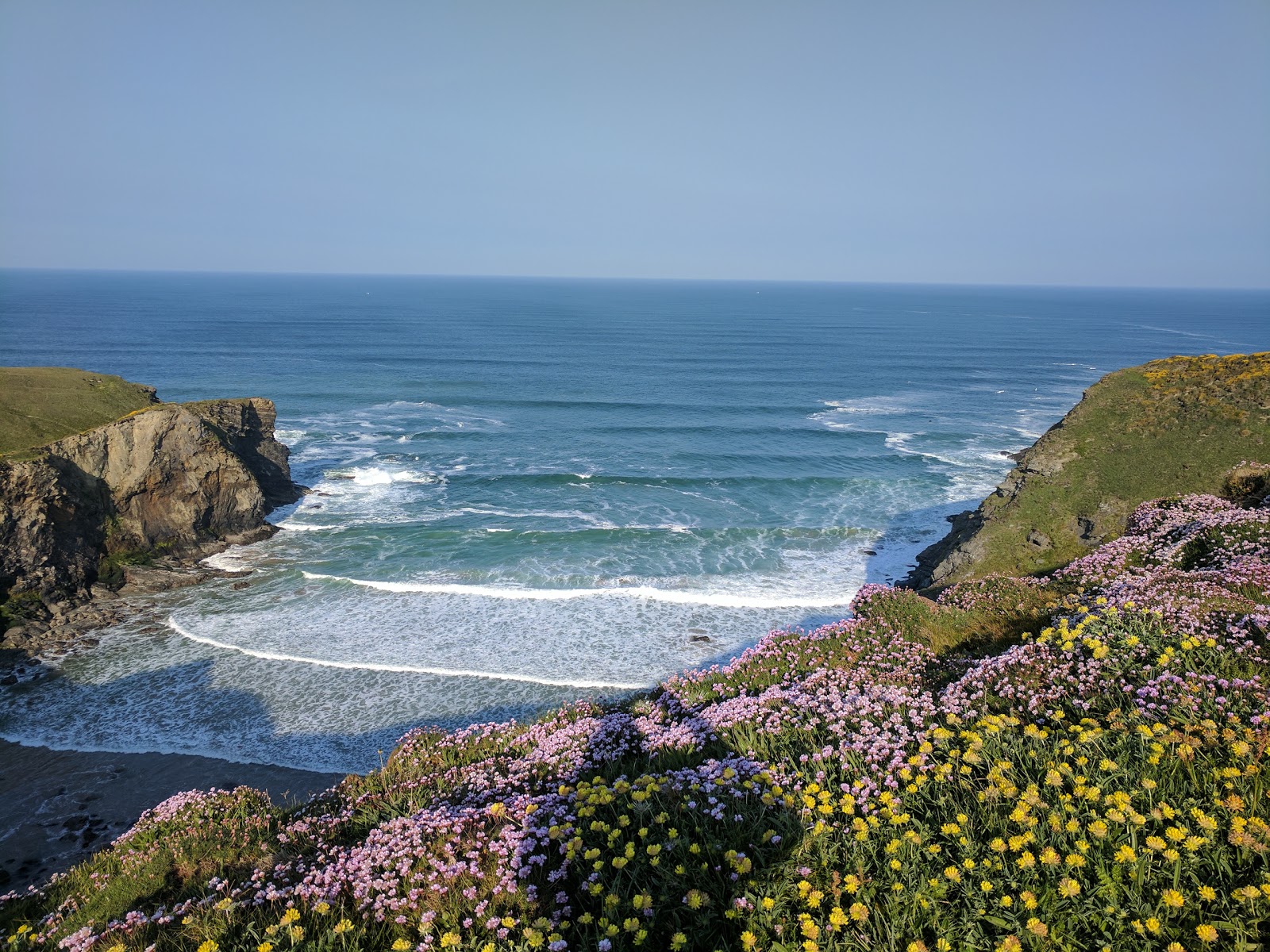 Photo of Beacon Cove wild area