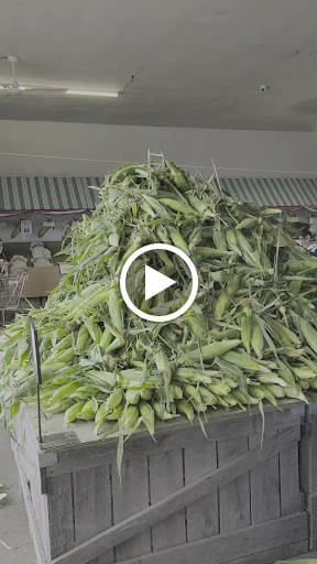 Farm «Lewin Farms», reviews and photos, 812 Sound Ave, Calverton, NY 11933, USA