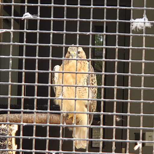 Nature Preserve «Westwood Hills Nature Center», reviews and photos, 8300 W Franklin Ave, St Louis Park, MN 55426, USA