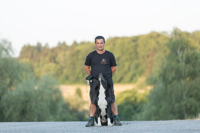 Hundeschule You And Your Dog - Hundeschule