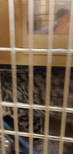 Pet Supply Store «PetSmart», reviews and photos, 2028 Miamisburg Centerville Rd, Dayton, OH 45459, USA