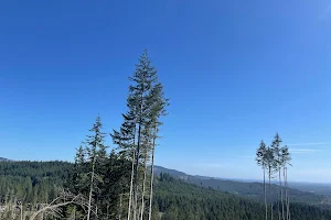 Capitol State Forest image