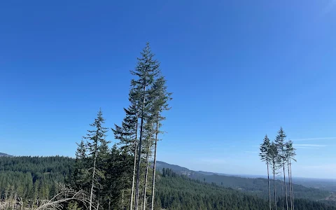 Capitol State Forest image