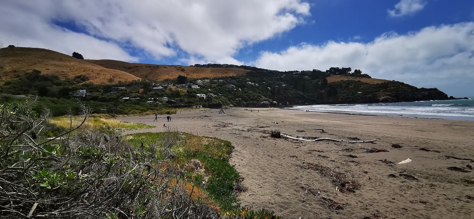 Fotografie cu Taylors Mistake Beach amplasat într-o zonă naturală