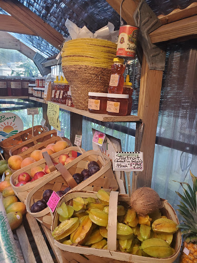 Grocery Store «Bayshore Market», reviews and photos, 5025 Bayshore Blvd, Tampa, FL 33611, USA