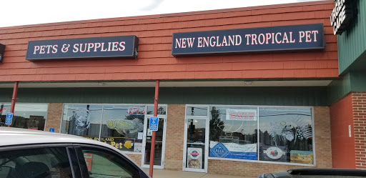 Pet Store «New England Tropical Pet», reviews and photos, 49 Drum Hill Rd, Chelmsford, MA 01864, USA