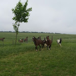 Photo n°8 de l'avis de Kerstin.o fait le 20/02/2019 à 14:34 sur le  Marina Kissinger Kaffee & mehr... à Schwaigern