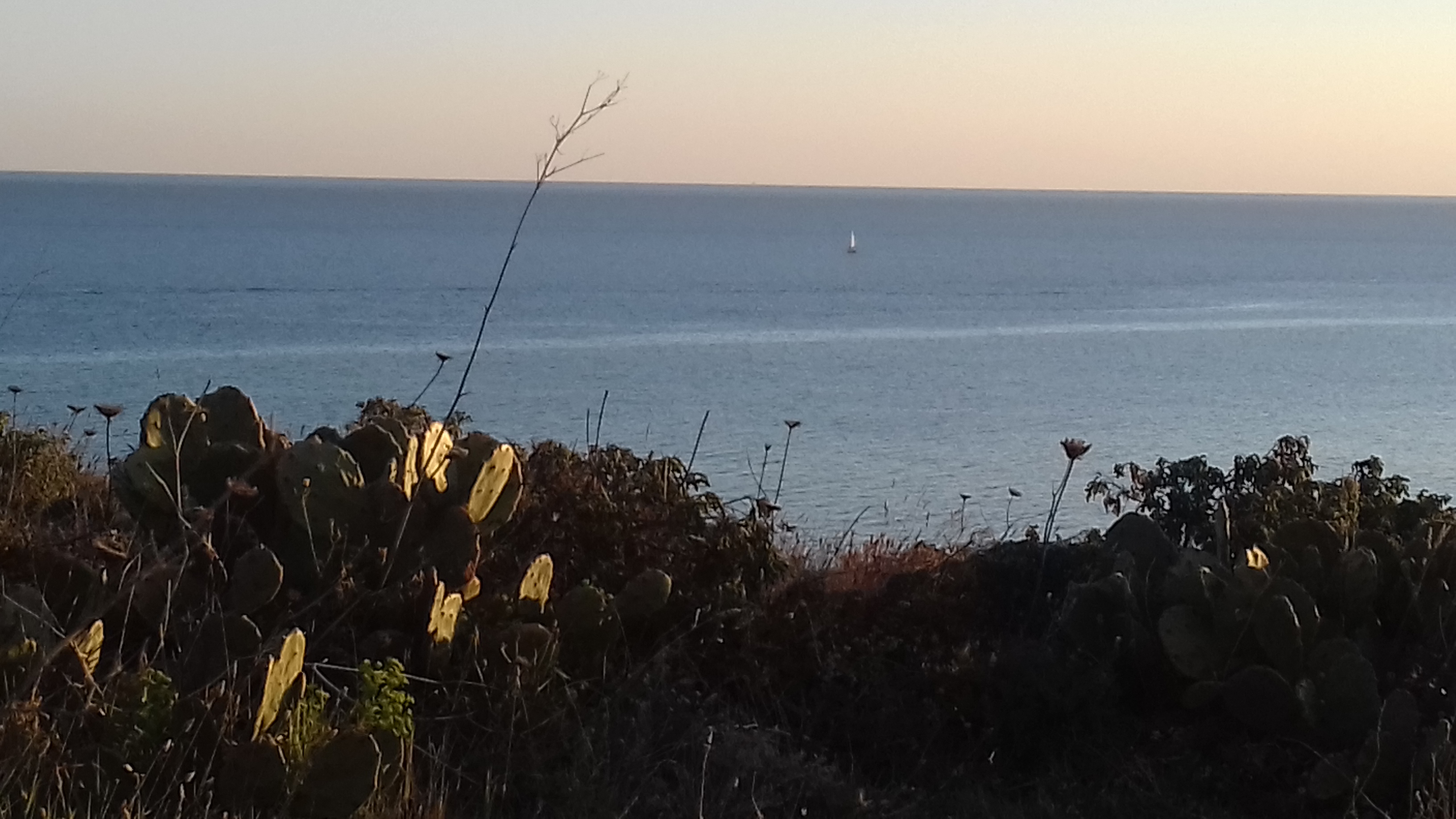 Photo n° 6 de l'avis de Isabelle.a fait le 24/03/2019 à 07:01