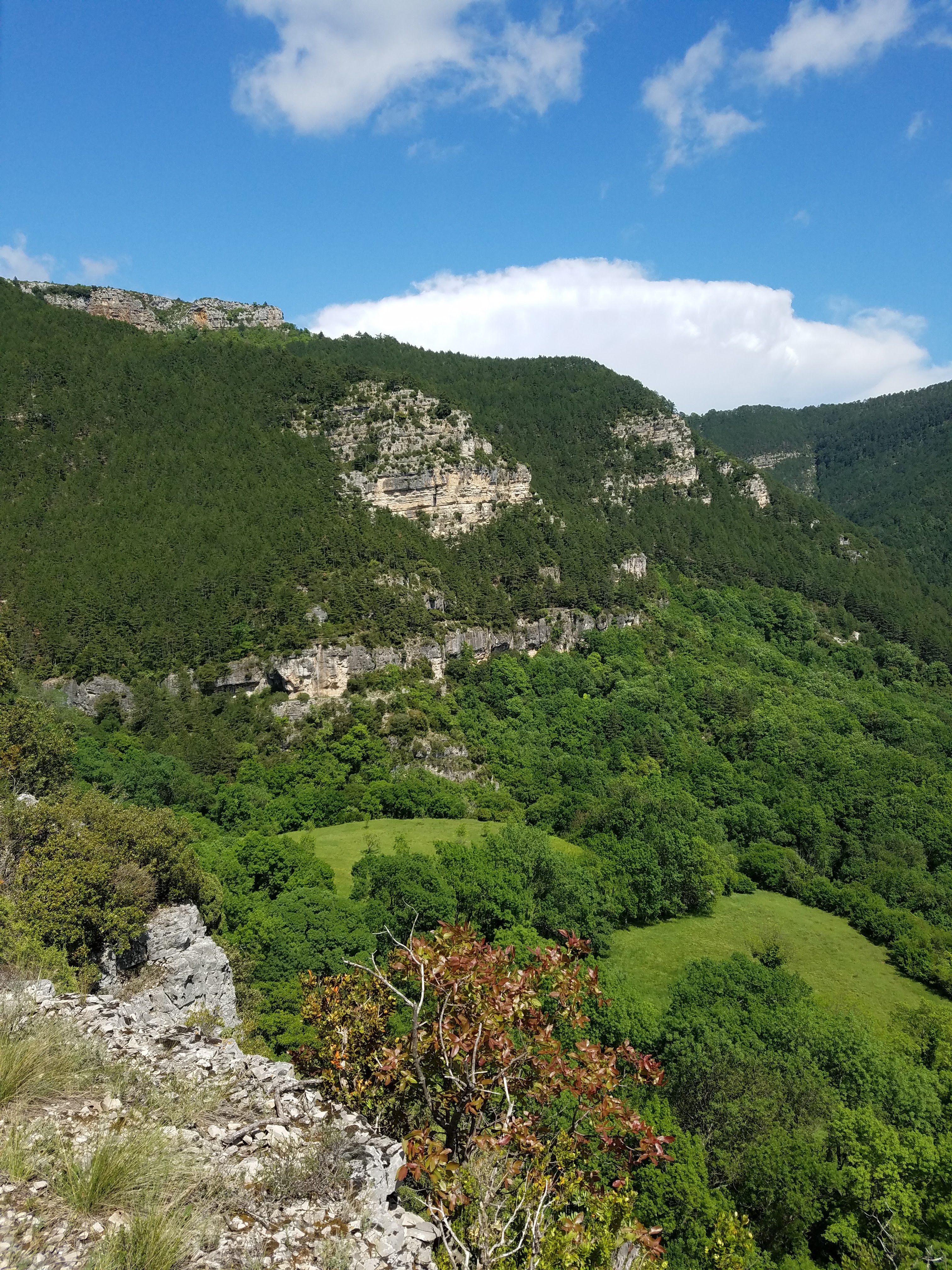 Photo n° 3 de l'avis de L. fait le 21/05/2018 à 21:17