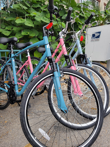 Bicycle Store «Blue Star Bike Shop», reviews and photos, 1414 S Alamo St, San Antonio, TX 78210, USA