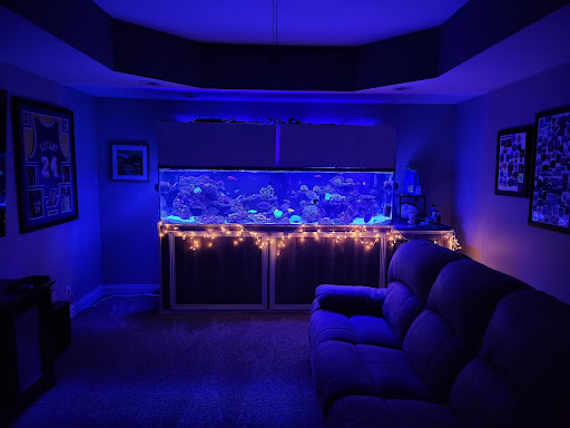 Tropical Fish Store «Glasscages.com LLC», reviews and photos, 1500 E Piney Rd, Dickson, TN 37055, USA