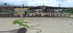 Praia do Cascalho'in fotoğrafı vahşi alan