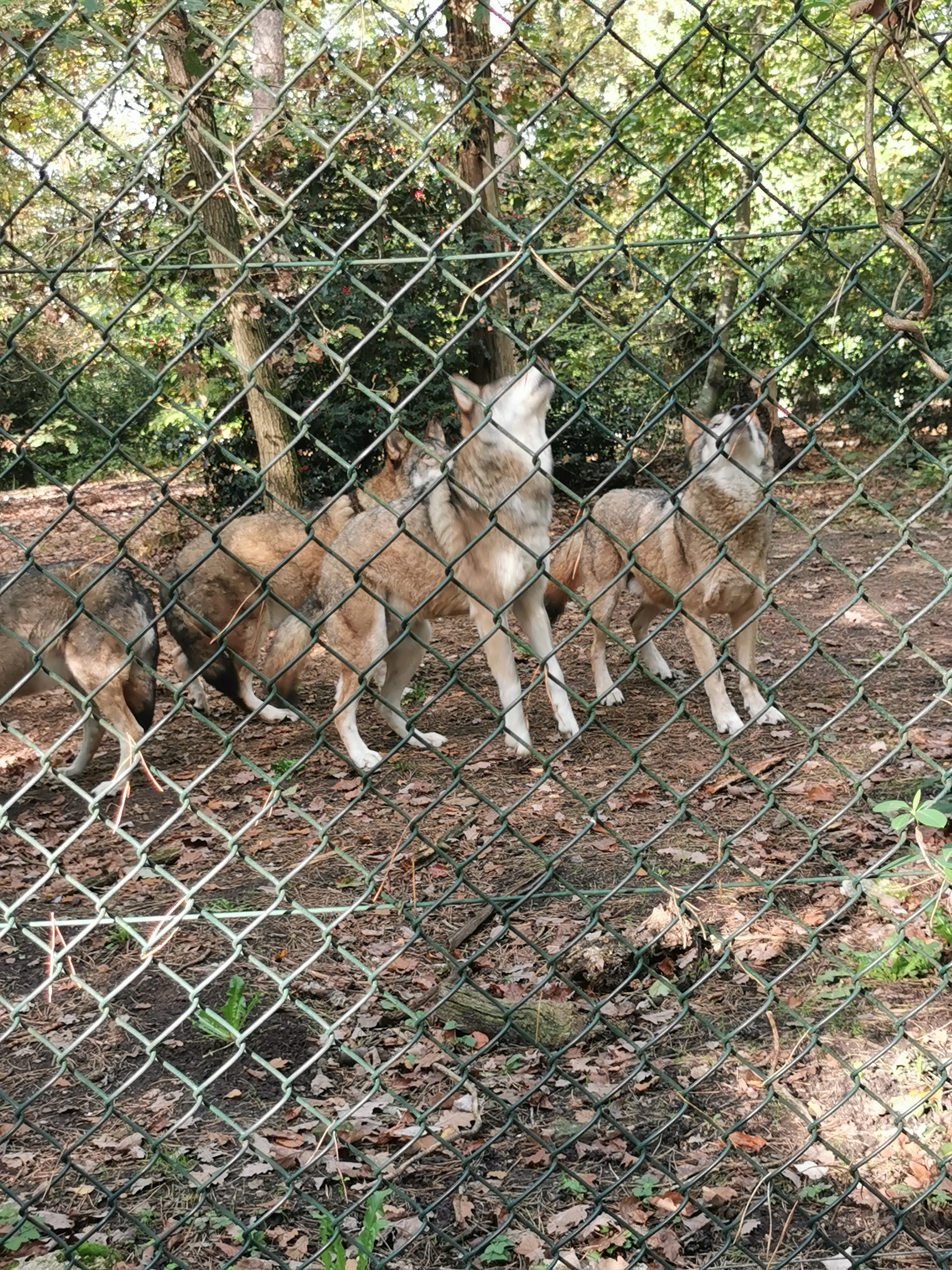 Photo n° 2 de l'avis de An.k fait le 16/11/2022 à 22:26