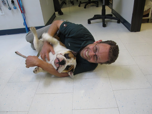 Claus Paws Animal Hospital