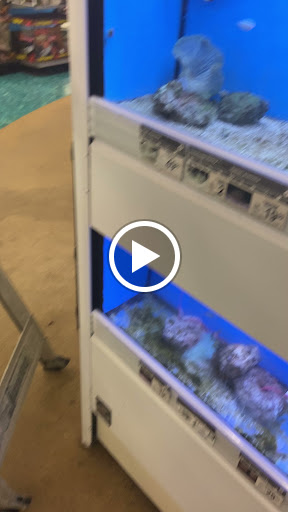 Pet Supply Store «Petco Animal Supplies», reviews and photos, 412 W Army Trail Rd, Bloomingdale, IL 60108, USA