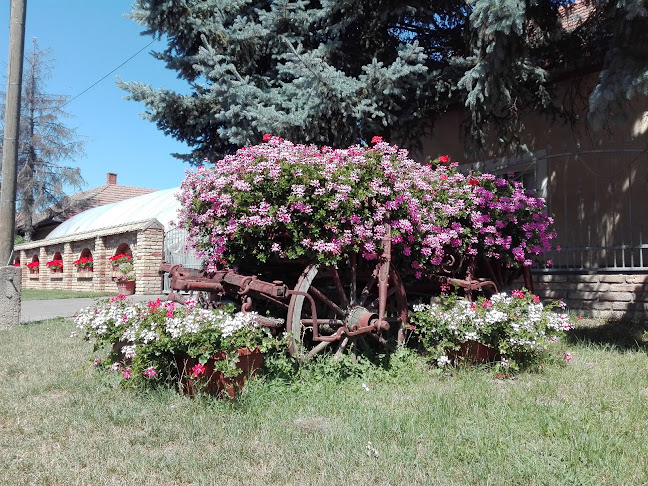Annus Virág Kertészet - Szeged