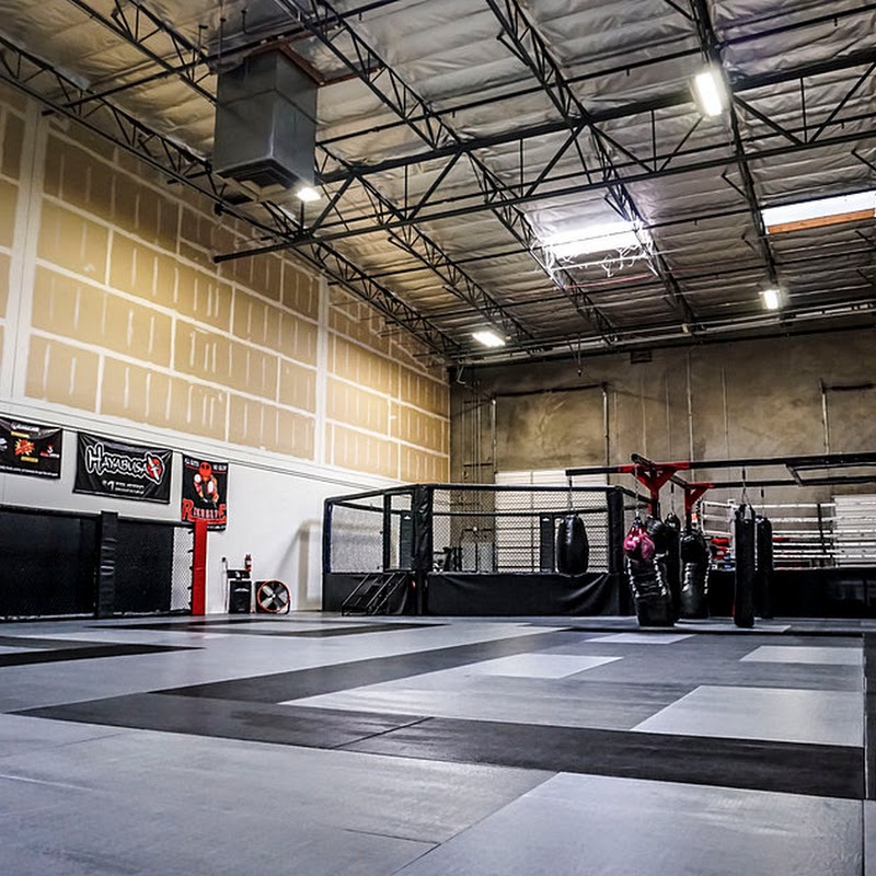 Siege Mixed Martial Arts & Fitness (MMA)