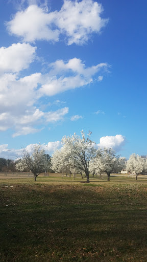 Park «Johnson Park», reviews and photos, 1781 Ebenezer Rd SW, Conyers, GA 30094, USA