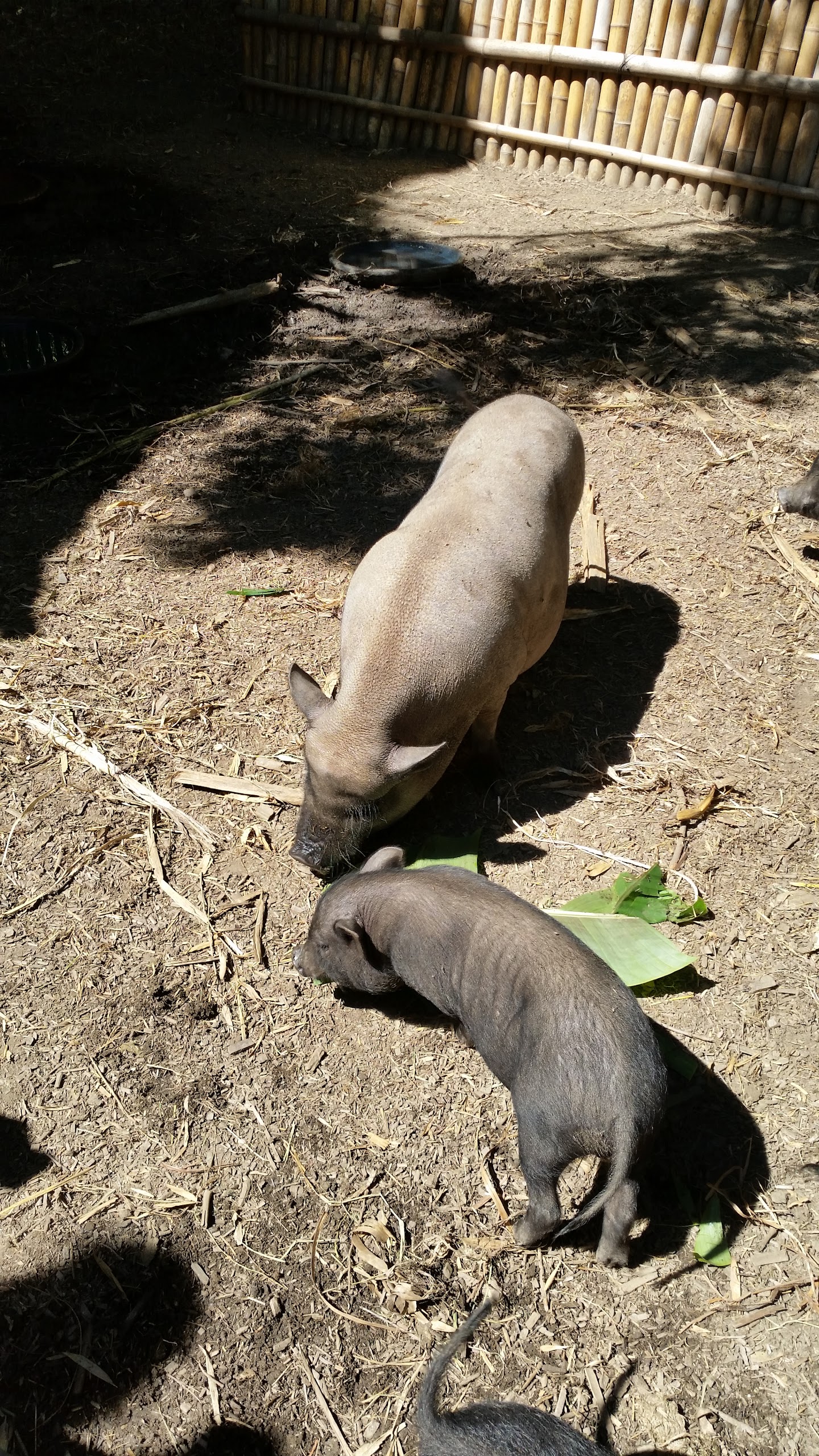 Photo n° 16 de l'avis de Philippe.o fait le 25/07/2017 à 08:49