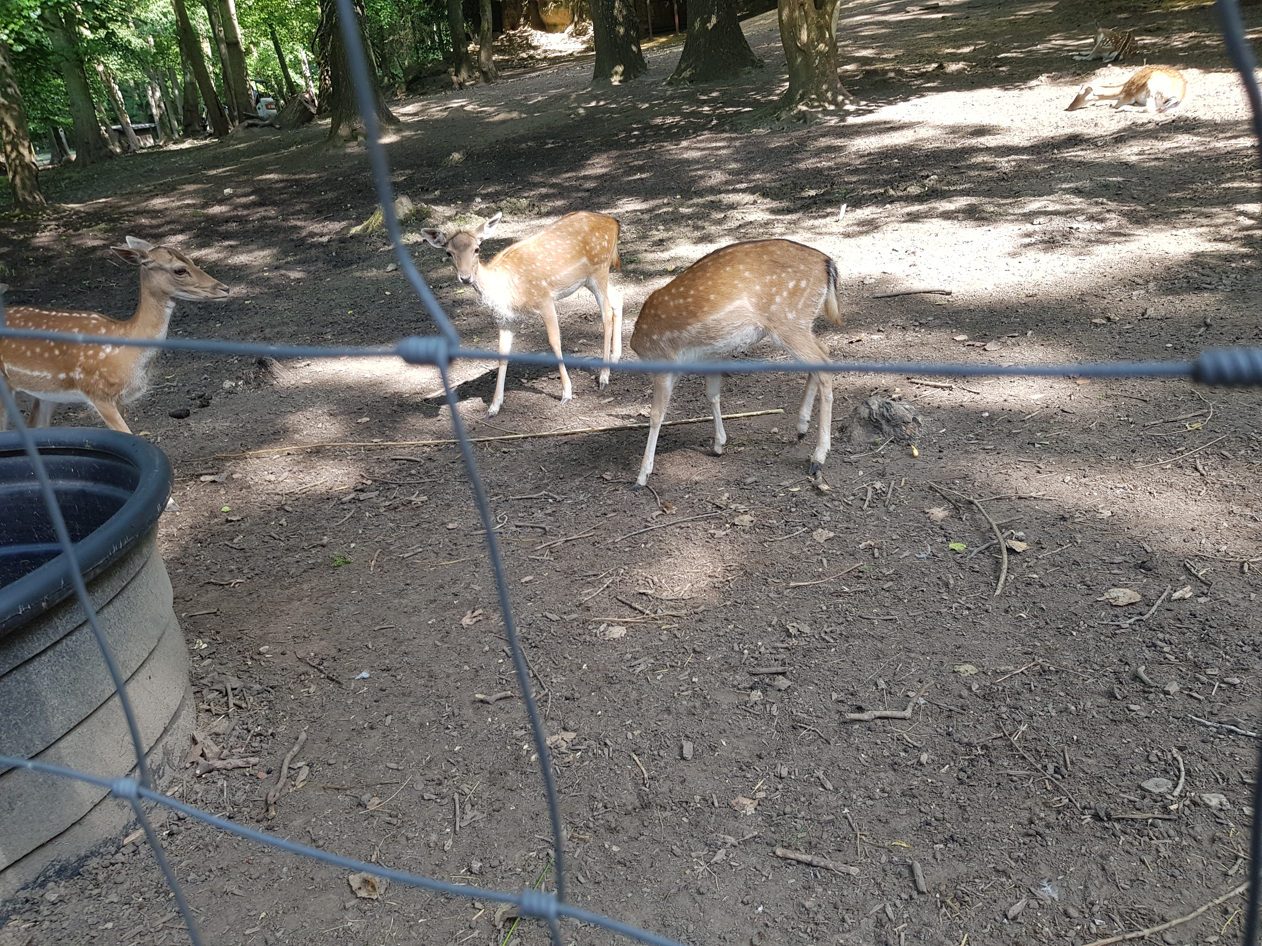 Photo n° 6 de l'avis de Laetitia.e fait le 20/06/2020 à 20:37