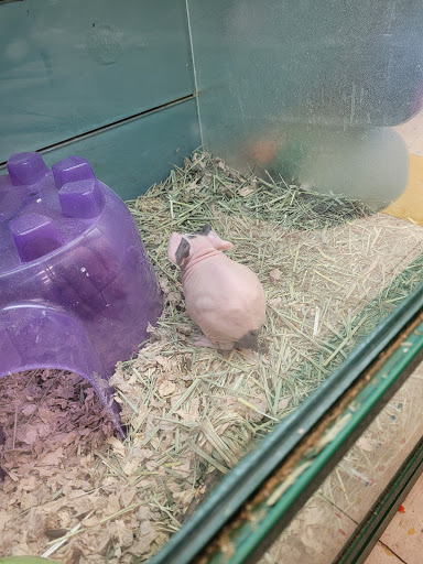 Pet Supply Store «Pet Supplies Plus», reviews and photos, 1377 N 21st St, Newark, OH 43055, USA