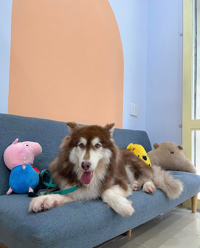 TASO PET HOME - Cửa hàng chăm sóc thú cưng