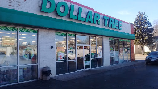 Dollar Store «Dollar Tree», reviews and photos, 333 Mannheim Rd B, Bellwood, IL 60104, USA