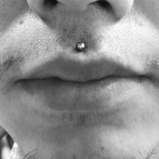 Explore koala tattoo ideas, creative tattoo ideas in Albuquerque, available at Staceys Exotic Body Piercing and Tattoo