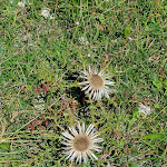 Photo n°3 de l'avis de Ruggero.a fait le 26/08/2022 à 08:32 sur le  Ristorante Genzianella à Malga San Giorgio