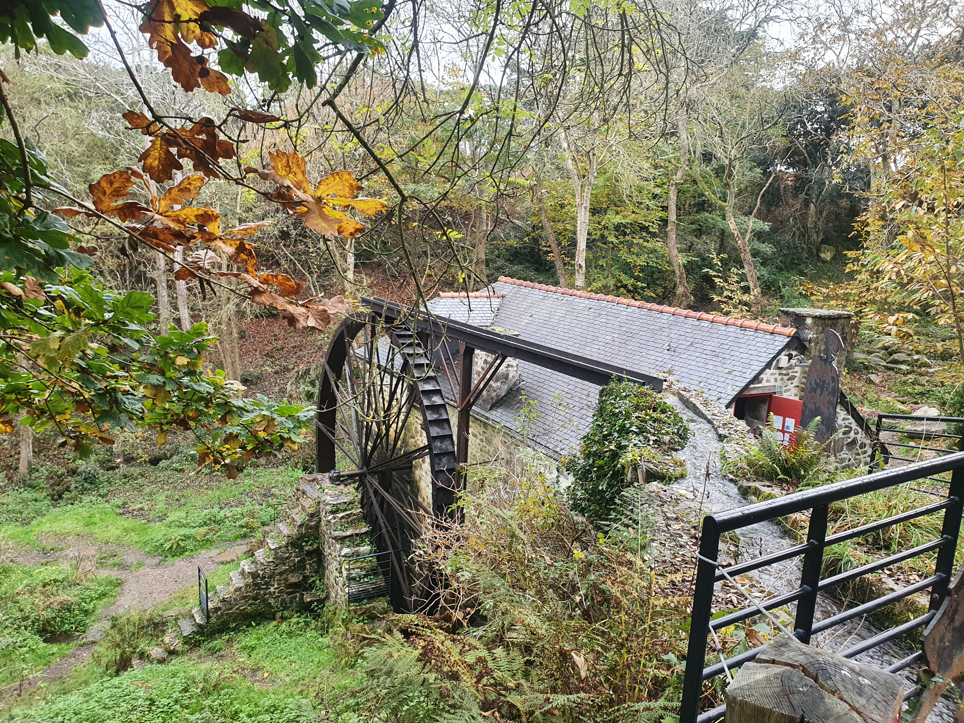 Photo n° 1 de l'avis de Severine.e fait le 14/11/2021 à 19:29