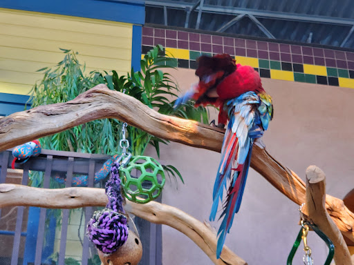 Pet Store «Pet Paradise Grooming», reviews and photos, 1115 Pueblo Blvd Way, Pueblo, CO 81005, USA