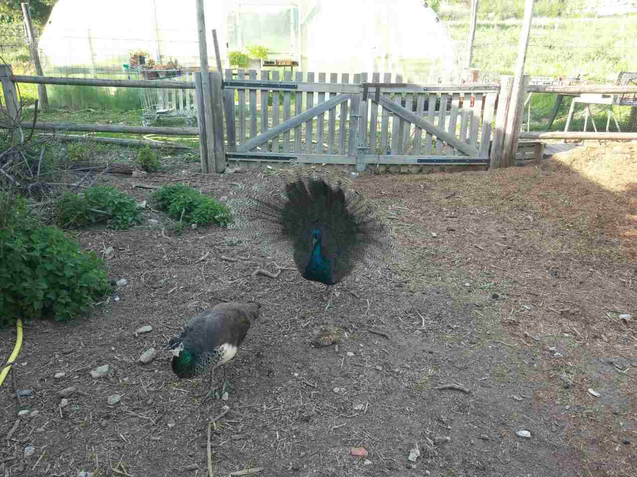 Photo n° 2 de l'avis de Virginie.a fait le 25/04/2017 à 20:00