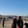 The PAV (Pavilion at Wolf Lake Memorial Park)