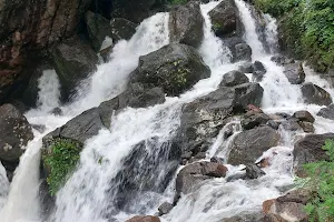 Nelliyampathy Falls image