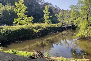 Parque de Travassos image