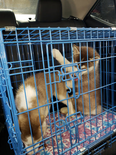 Pet Store «The Pet Stop», reviews and photos, 9128 E Foothill Blvd, Rancho Cucamonga, CA 91730, USA