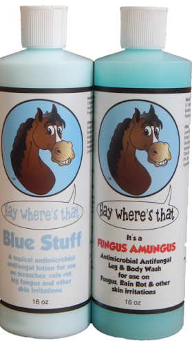 Tack Shop «Equine Exchange Tack Shop», reviews and photos, 1251 Ridge Rd, Pottstown, PA 19465, USA