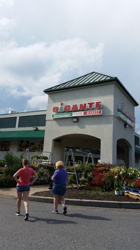 Grocery Store «Gigante International Food Market», reviews and photos, 8847 Gap Newport Pike, Avondale, PA 19311, USA