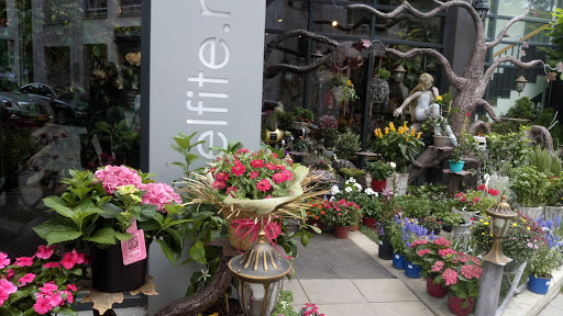 Elfite - flower boutique