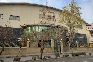 Volleyball House of Tehran image